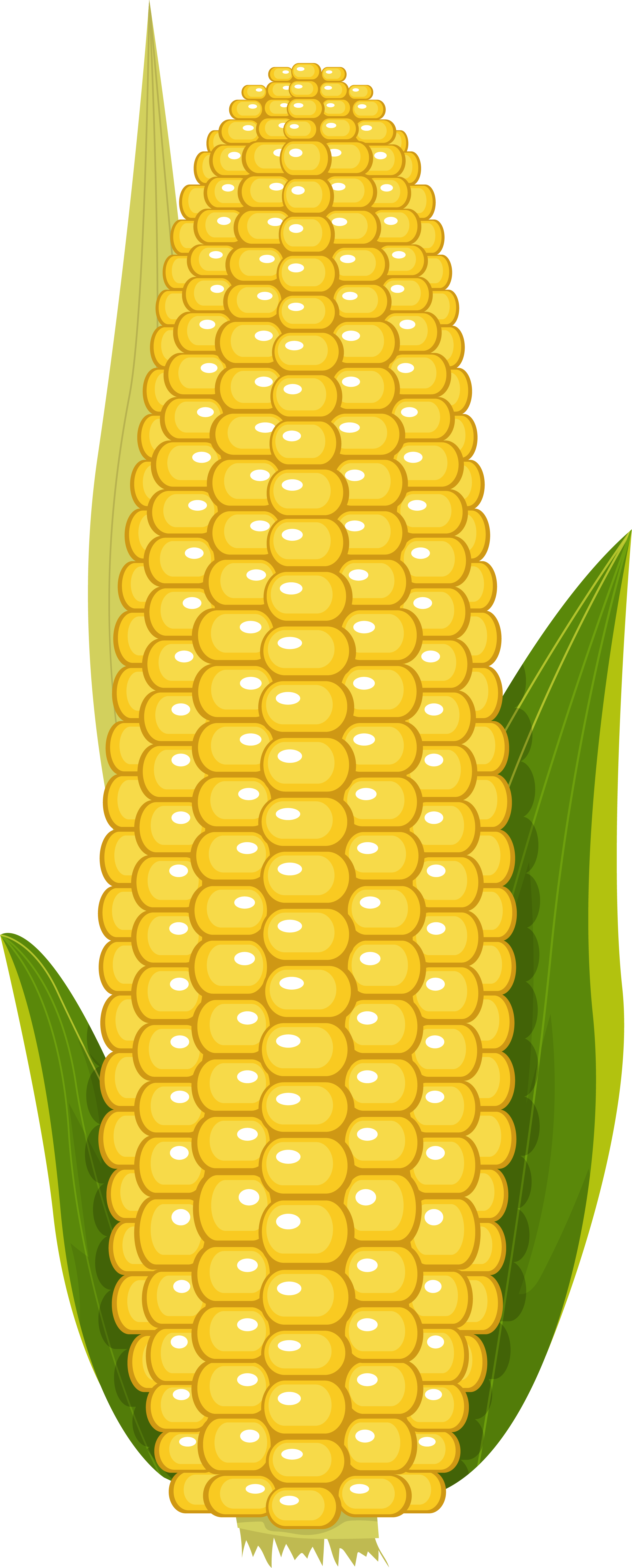 Corn